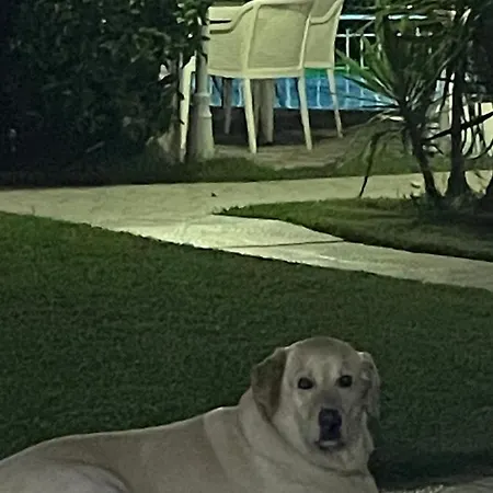 Belka Golf Exclusive Poolside بيليك